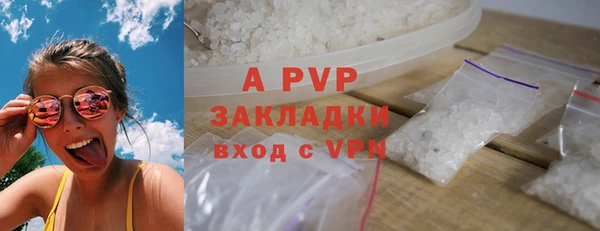 молекула духа Козельск
