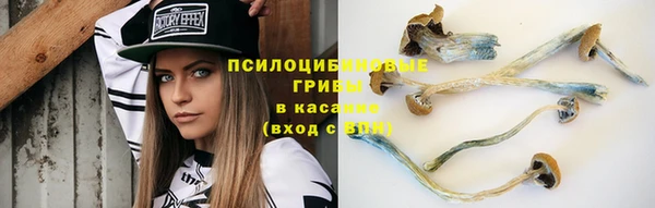 синтетический гашиш Козловка