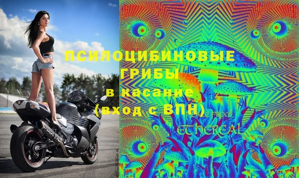 ALPHA-PVP Киреевск